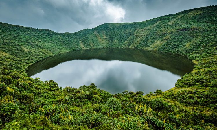 Mount Bisoke Hiking Guide - Crater Lake Trekking, Permits & Costs in Rwanda