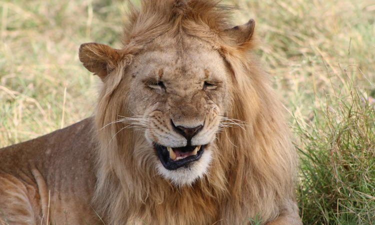 18-Day Uganda Safari from Kigali - Ultimate Adventure