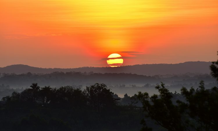 Discover Kibale Forest National Park - Chimpanzee Trekking & Biodiversity