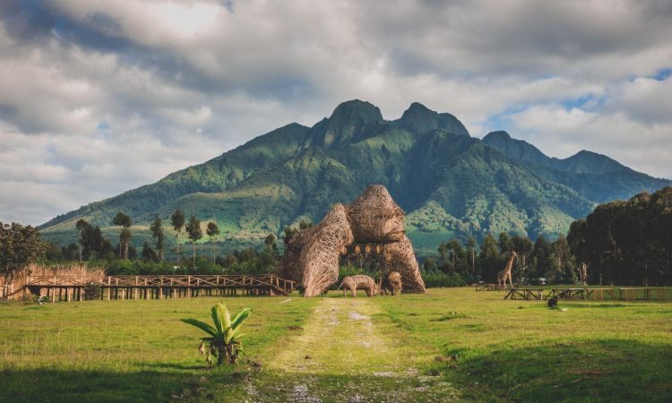 Climbing Mount Sabyinyo - Hiking Tours, Facts & Permit Fees