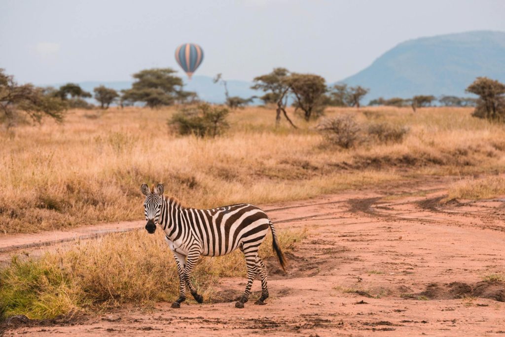 10-Day Tanzania Safari - Explore Tarangire, Ngorongoro & Serengeti