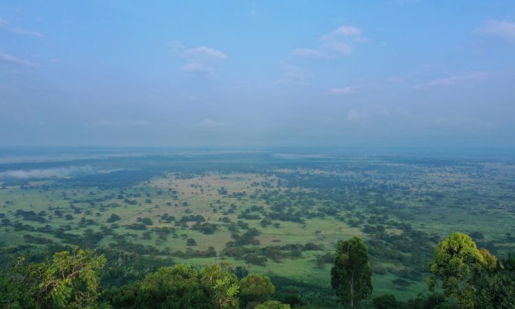 Queen Elizabeth National Park - Safari Activities, Fees & Lodging