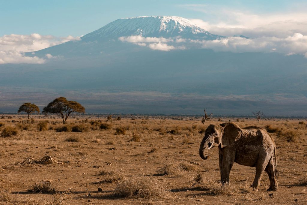 6-Day Tanzania Safari Holiday - Adventure in Serengeti, Ngorongoro & Kilimanjaro
