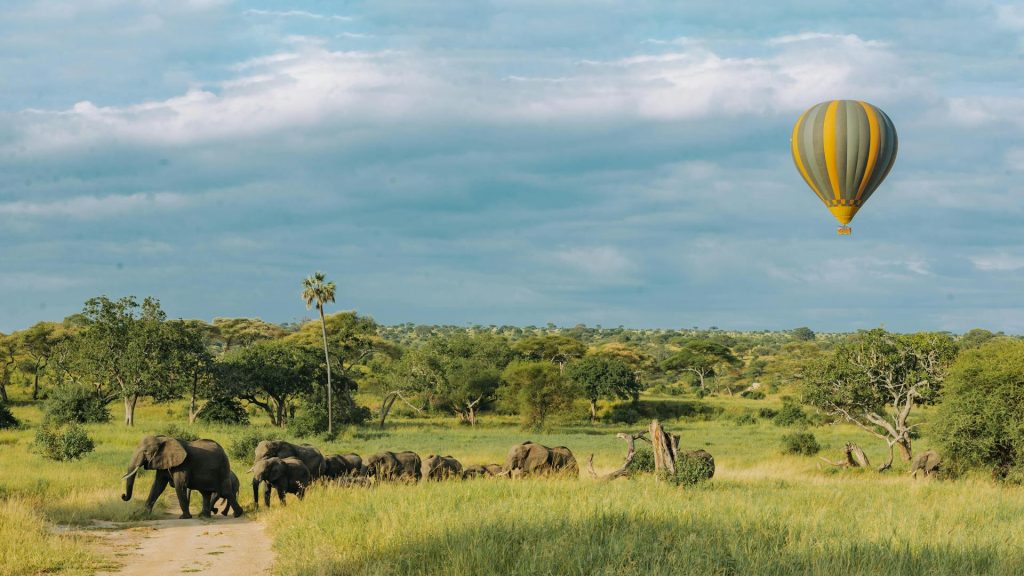 7-Day Tanzania Family Safari - Serengeti, Tarangire & Ngorongoro Adventure