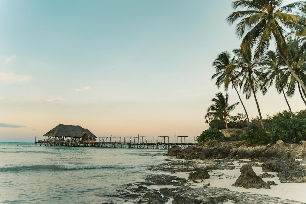 7-Day Zanzibar Family Trip - Beaches, Dolphins & Cultural Tours