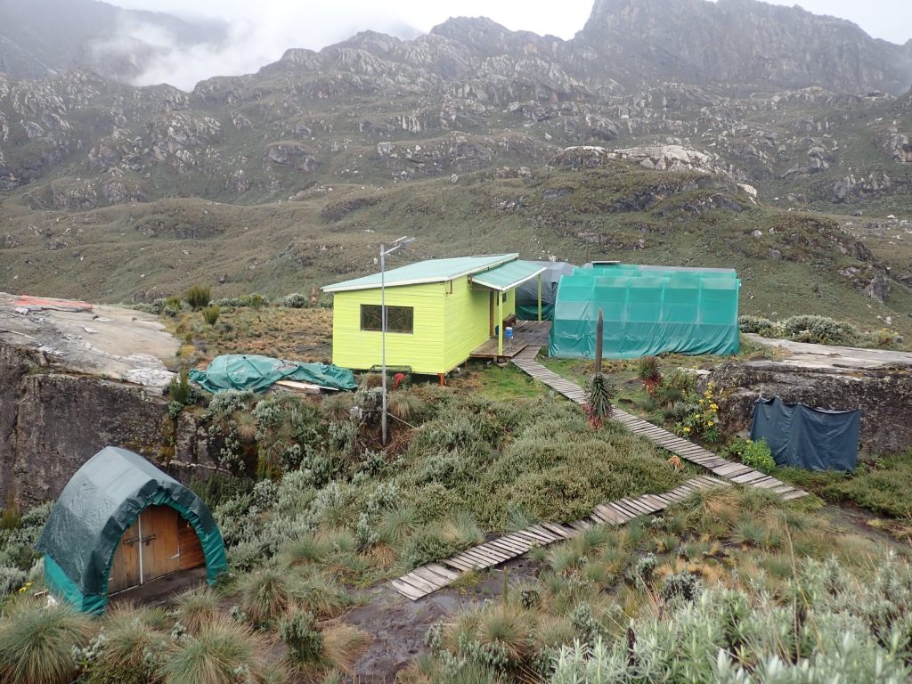 Accommodation Rwenzori
