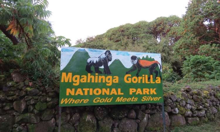 Mgahinga Gorilla National Park - Hiking Trails, Gorilla Trekking & Cultural Experiences