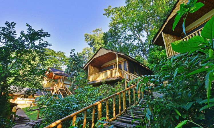 Explore Buhoma Sector - Gorilla Trekking in Bwindi Impenetrable National Park