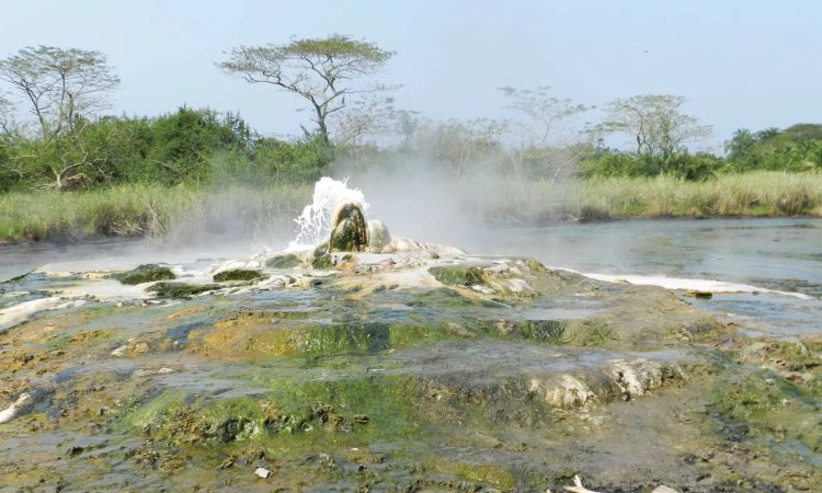 Explore Semuliki Valley National Park - Hot Springs, Wildlife & Lodging Guide
