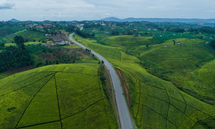 Is Uganda Safe for Travelers