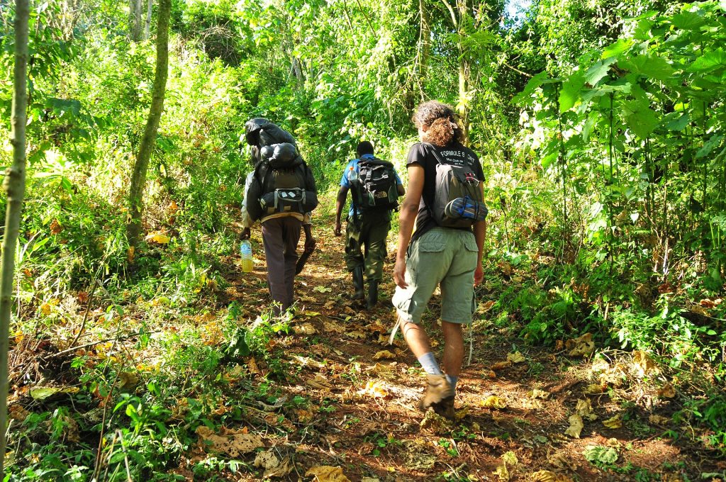 Mount Elgon National Park - Hiking Trails, Peaks & Caldera Hike