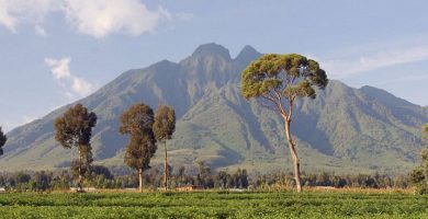 Full list of Congo National Parks