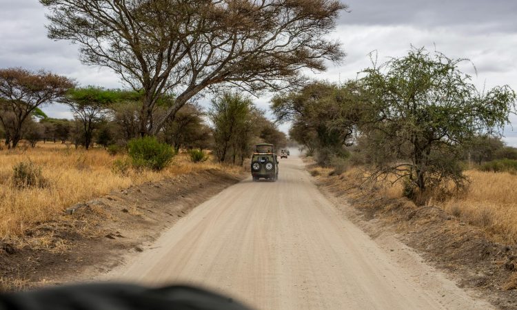 Choosing the Best Uganda Tour Operators - Your 2025/2026 Safari Guide