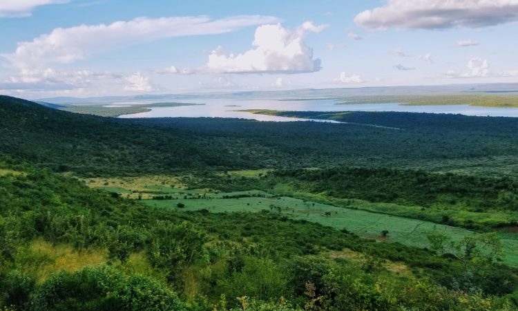 Akagera National Park - Safari Adventures, Entry Fees & Balloon Tours