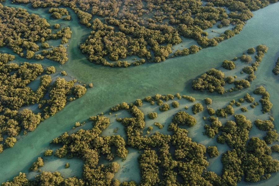 Mangroves National Park