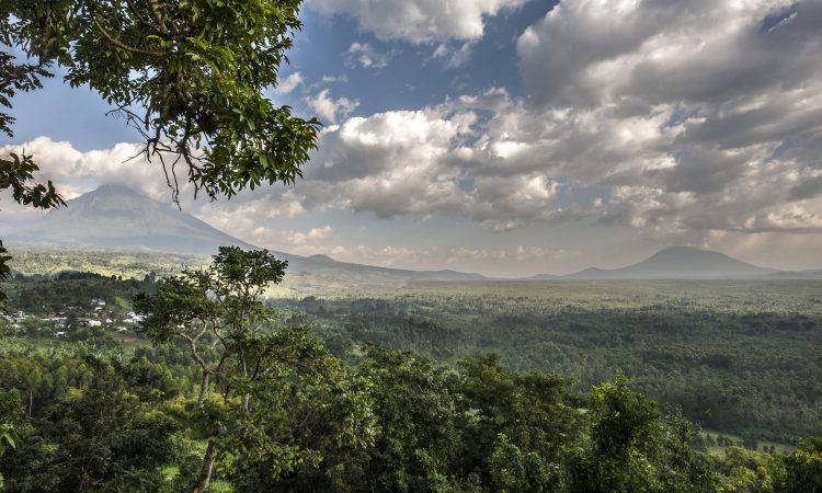 Detailed 4-Day Congo Tour Itinerary