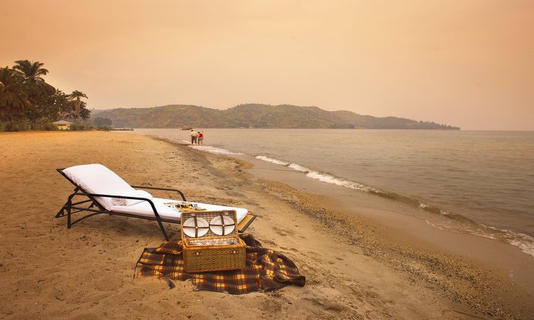 7-Day Congo, Rwanda, Uganda Gorilla Trekking Tour