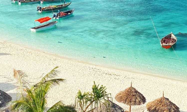 12-Day Tanzania Zanzibar Safari & Beach Holiday Package